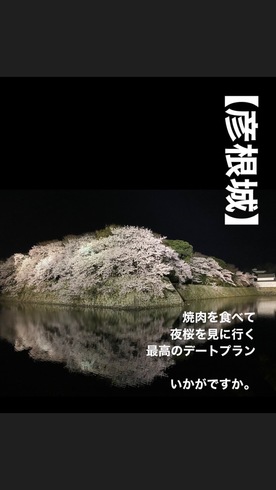 彦根城から徒歩5分、桜がもうすぐ咲き始めますね♪